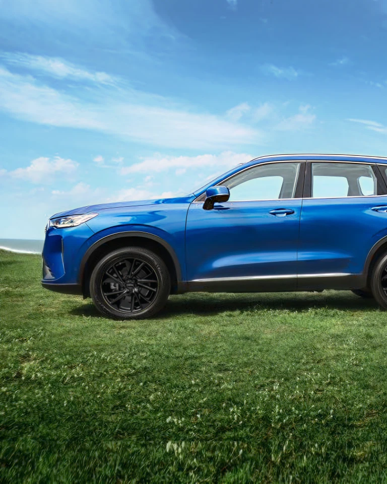 Faça parte da comunidade My GWM.