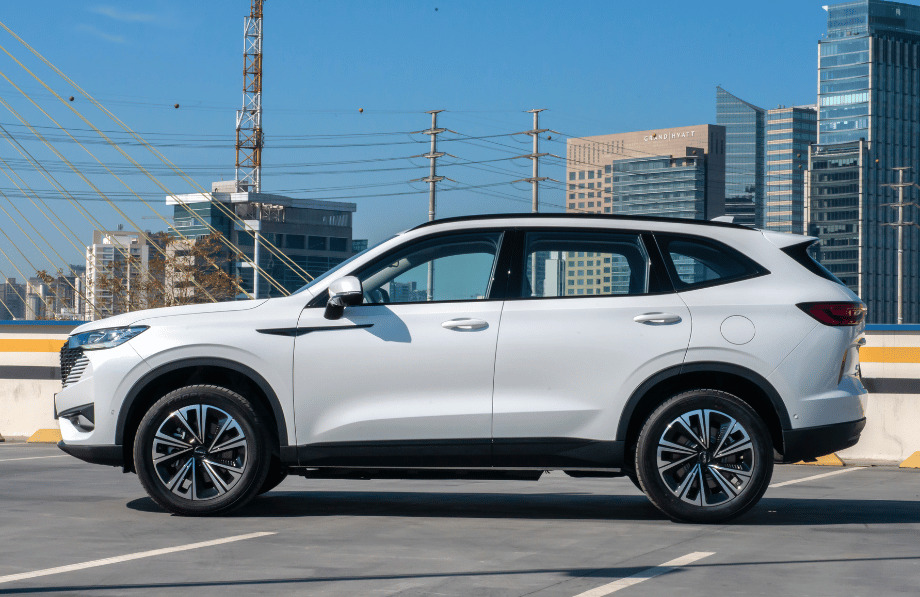 Haval H6 PHEV19