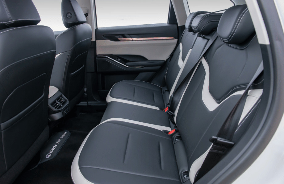 Haval H6 PHEV19