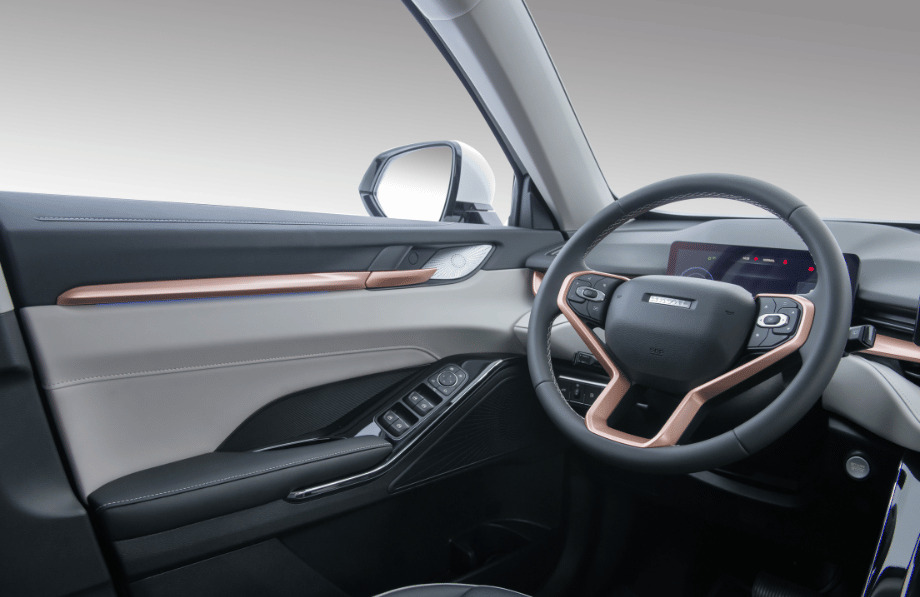 Haval H6 PHEV19